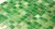 1-DSC04961.JPG