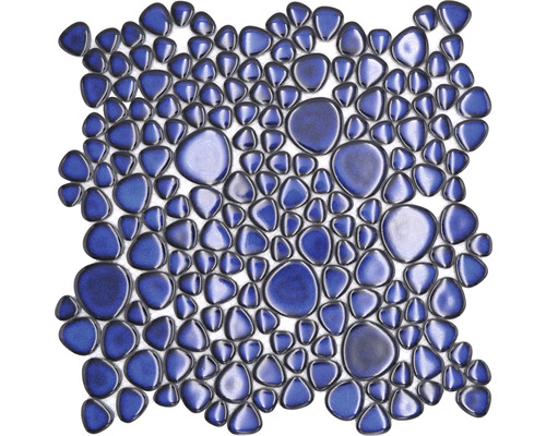 as.54204498.jpg